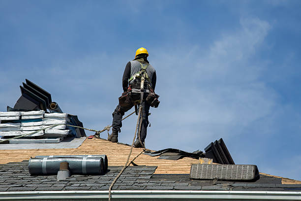 Professional Gutter Installation technician working in Greenfield, TN